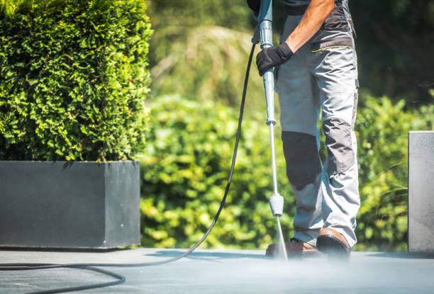 Best Gutter Cleaning and Brightening in Roseville, MN