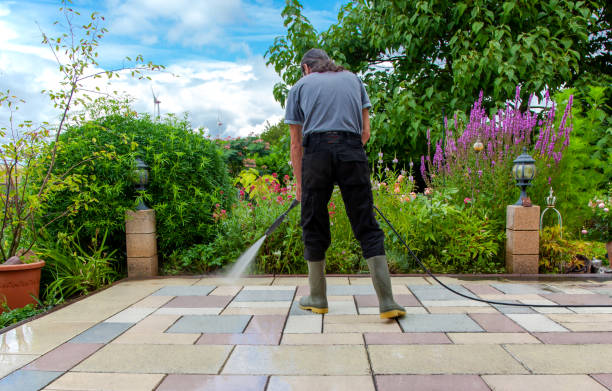 Best Residential Pressure Washing in Roseville, MN